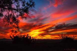 Encinitas October sunrise-9642